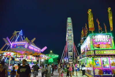 DSC_7787 (Large).JPG